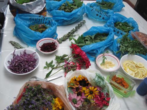 Eco dyeing buffet